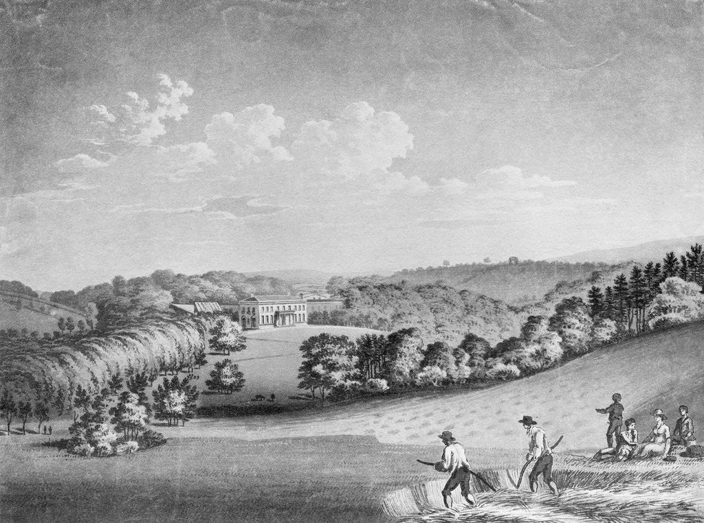 Detail of Men Harvesting Wheat by Anonymous
