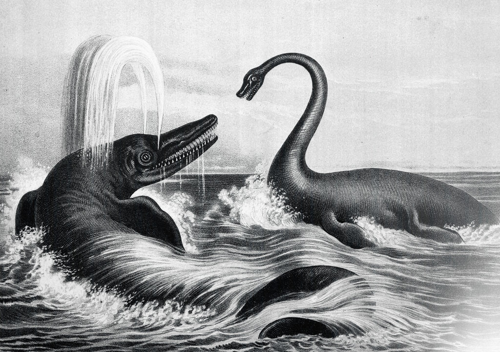 Detail of Prehistoric Creatures in Water by Anonymous