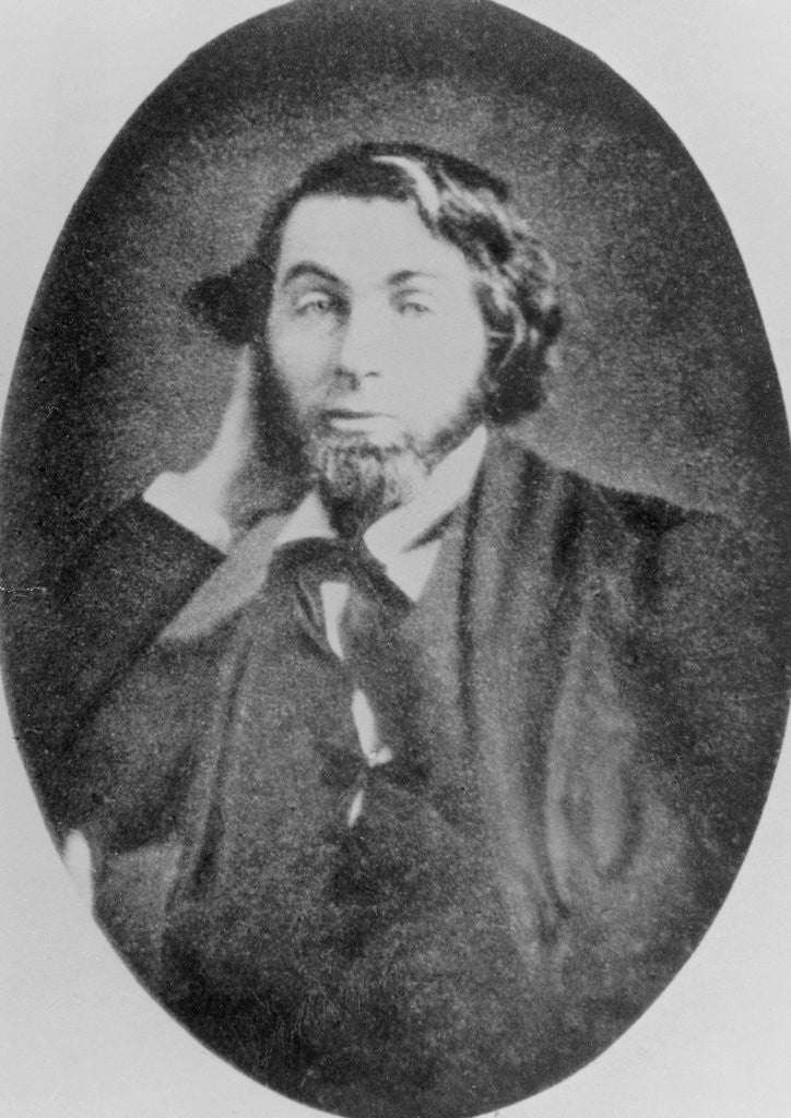 Detail of Portrait of Walt Whitman by Anonymous