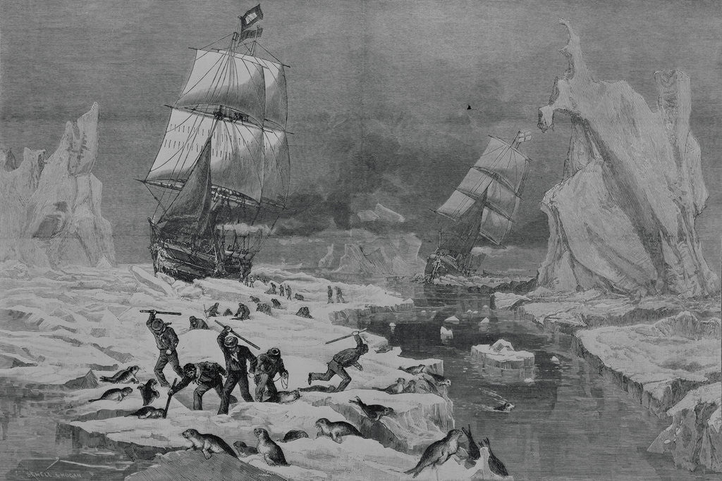 Detail of Men Slaughtering Seals by Anonymous