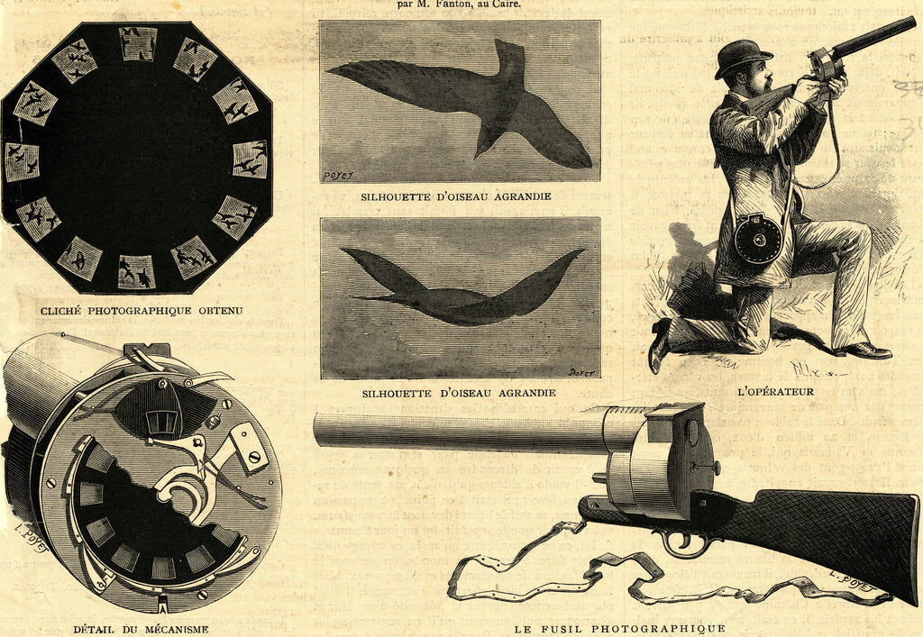 Detail of Diagram and Illustrations of Unique Camera by Anonymous