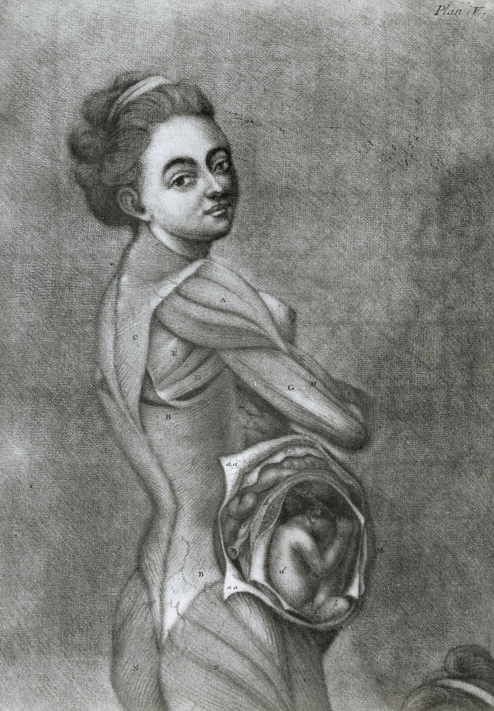 Detail of Illustration of Pregnant Woman by Anonymous