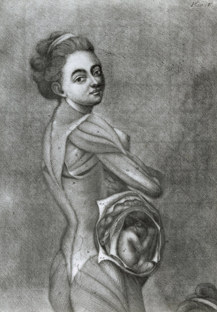 Detail of Illustration of Pregnant Woman by Corbis