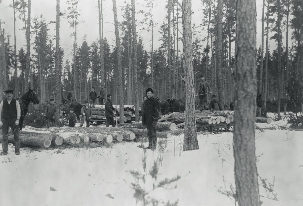 Detail of Loggers Removing Large Tree from Forest by Anonymous