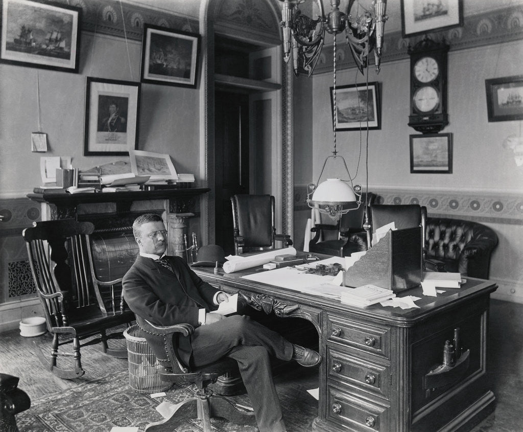 Detail of Theodore Roosevelt in Office by Anonymous