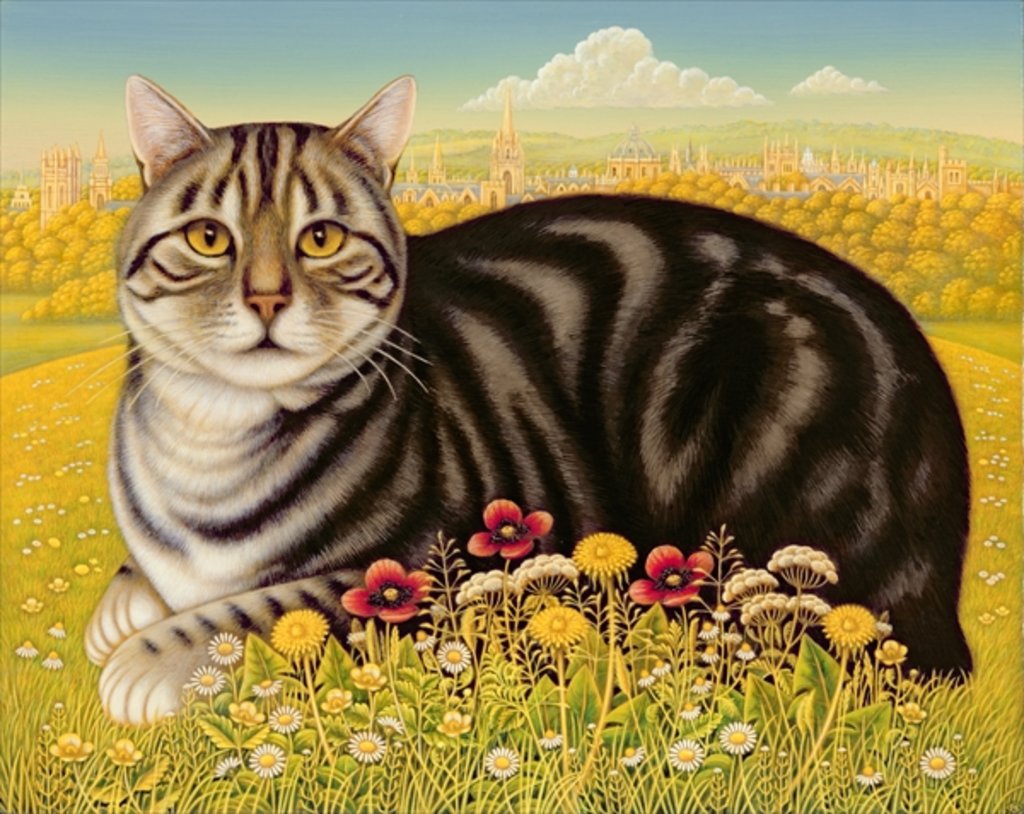 Detail of The Oxford Cat, 2001 by Frances Broomfield