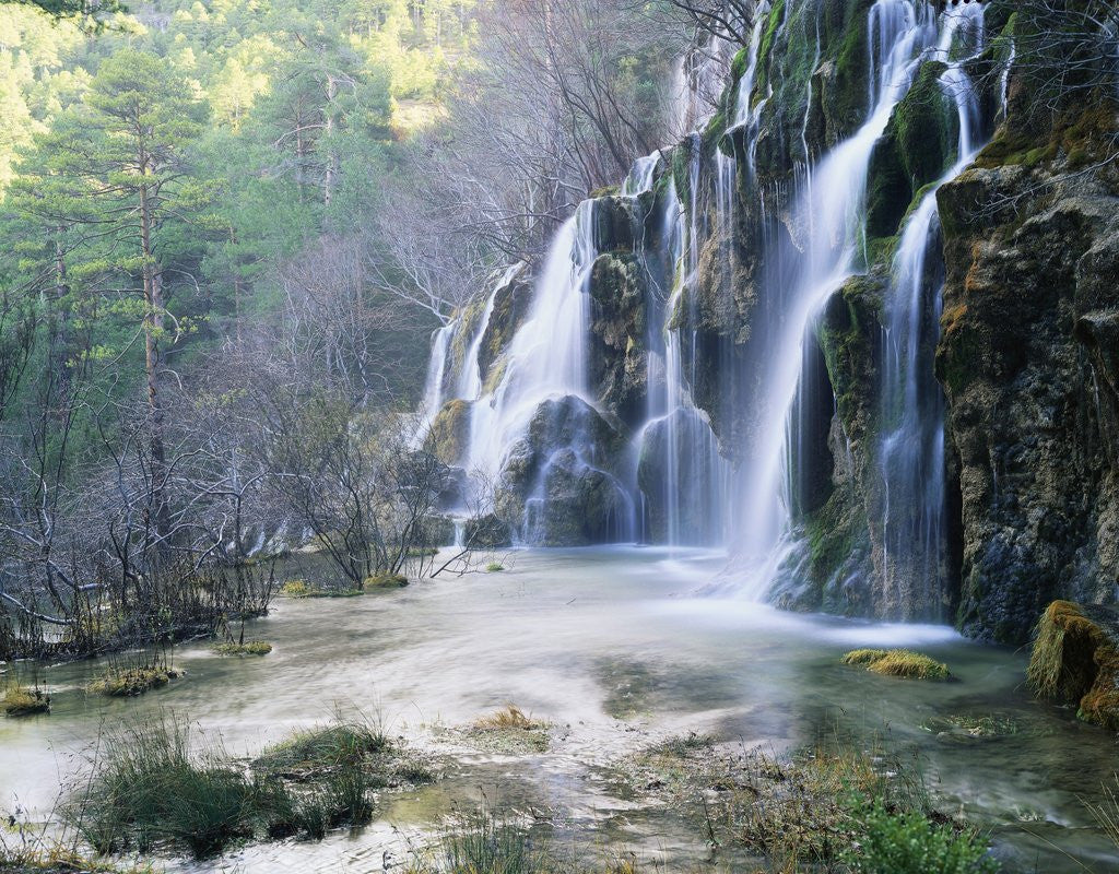 Detail of Cascade at the Source of the Rio Cuervo by Anonymous