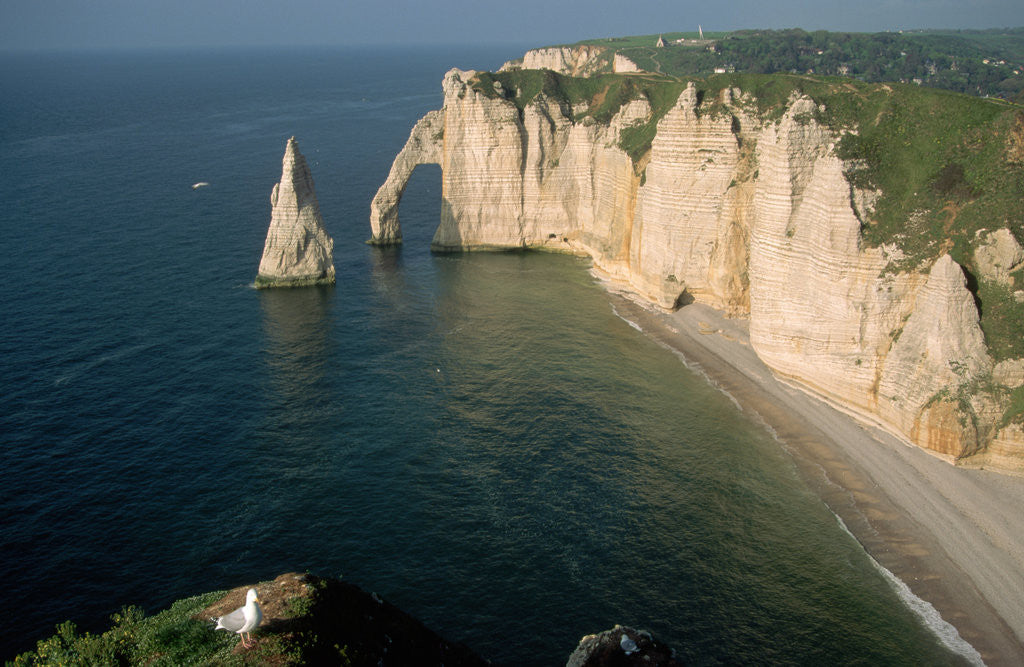 Detail of The Manneport Arch and Aiguille of Etretat Cliffs, France by Anonymous