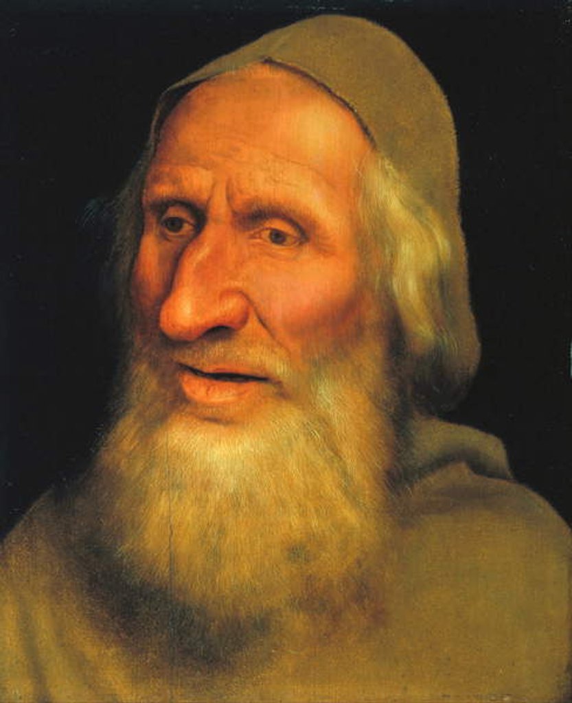 Detail of Head of an Old Man, c.1525 by Quentin Massys or Matsys