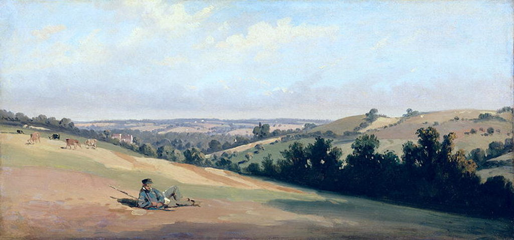 Detail of Young Man Reclining on the Downs, c.1833-35 by Theodore Caruelle d' Aligny