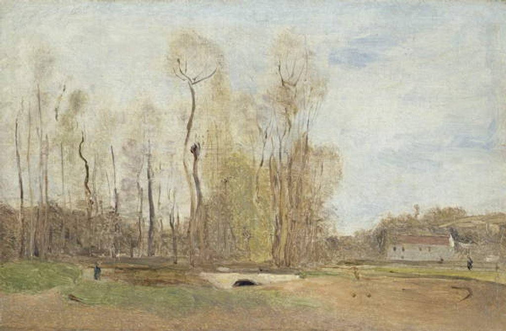 Detail of Auvers-sur-Oise: Daubigny's pond, c.1855 by Jean Baptiste Camille Corot