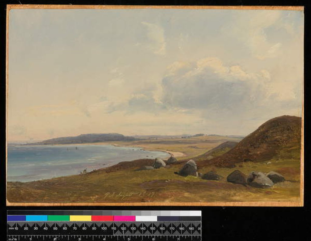 Detail of View towards Hesbjerg from the Hornbaek estate, 1857 by Vilhelm (fl.1857) Peterson