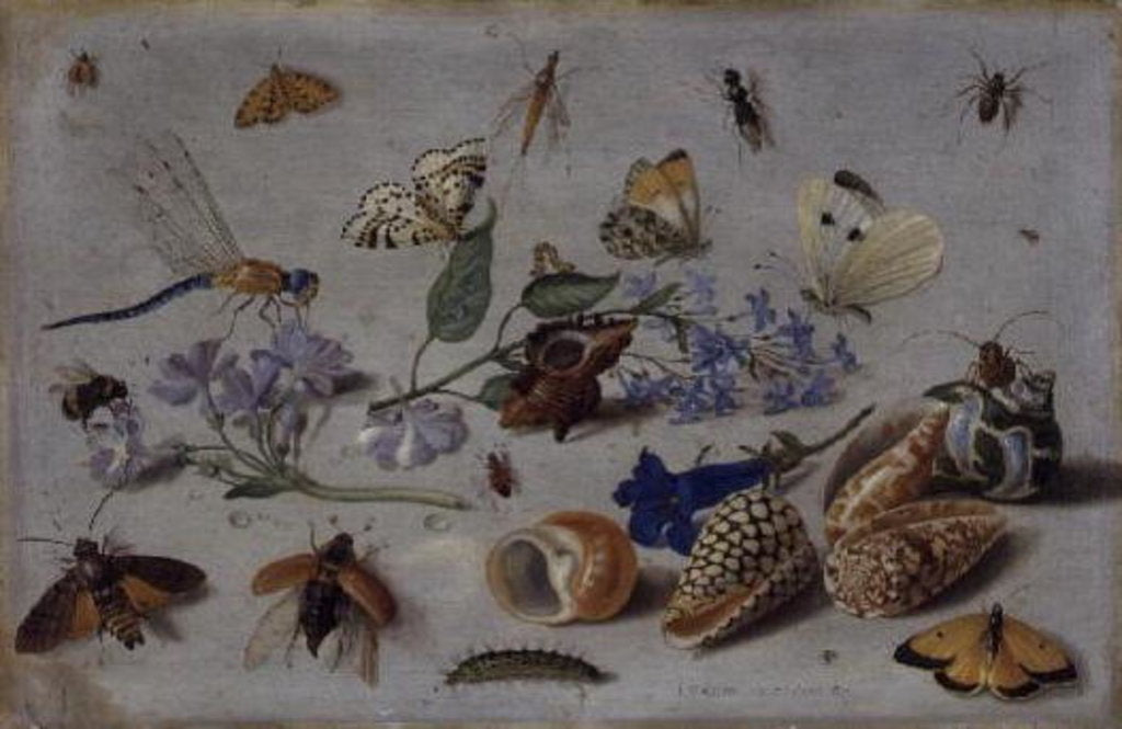 Detail of Butterflies and other Insects, 1661 by Jan van the Elder Kessel