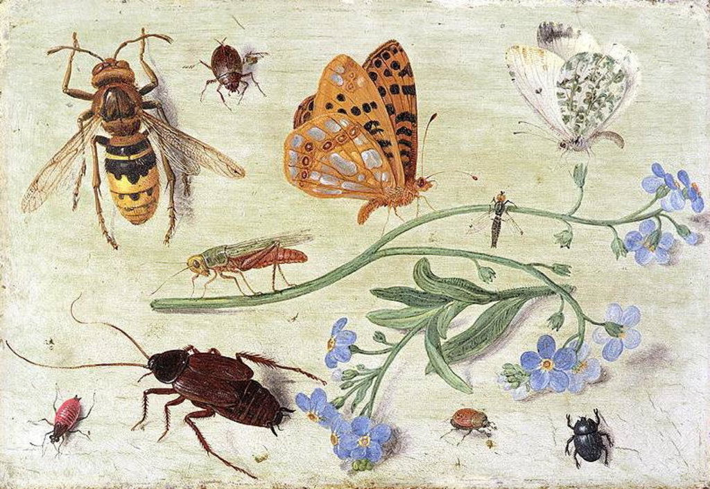 Detail of Insects by Jan van the Elder Kessel
