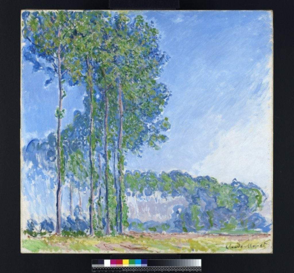 Detail of Poplars, 1891 by Claude Monet