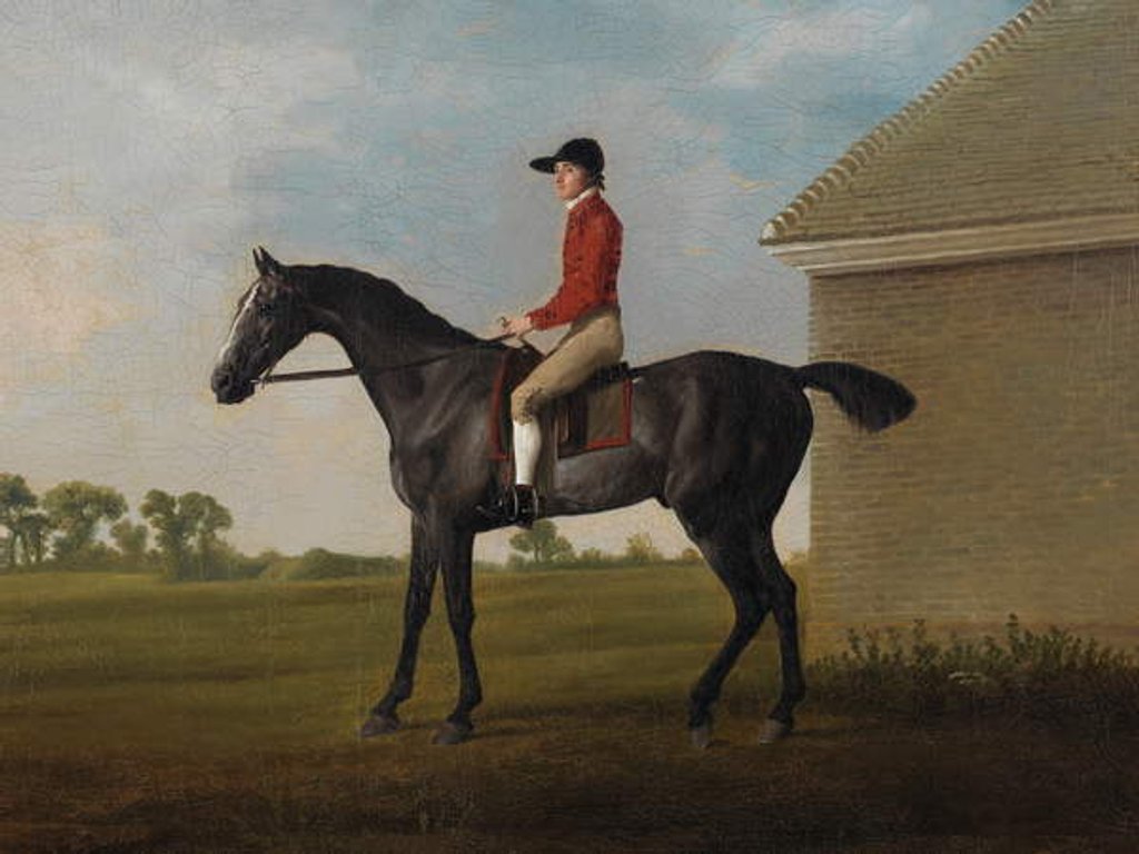 Detail of Gimcrack, with John Pratt up, on Newmarket Heath, 1795 by George Stubbs