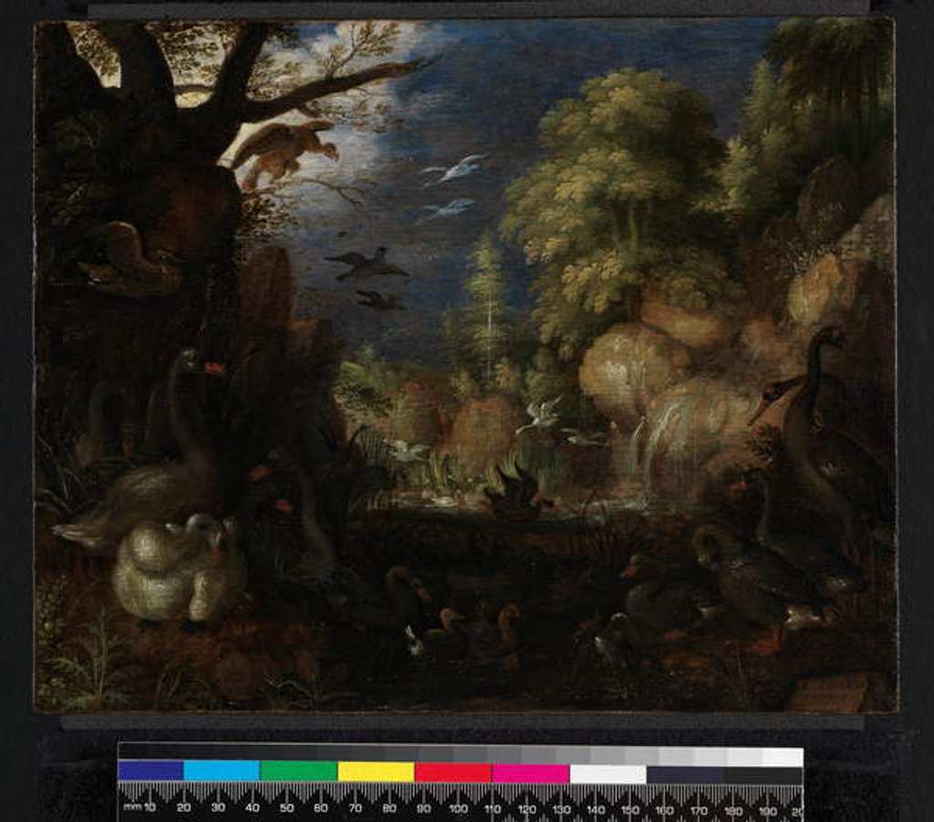 Detail of The Creation of Birds, 1619 by Roelandt Jacobsz. Savery