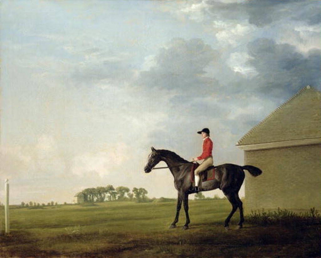 Detail of Gimcrack with John Pratt up on Newmarket Heath, 1765 by George Stubbs