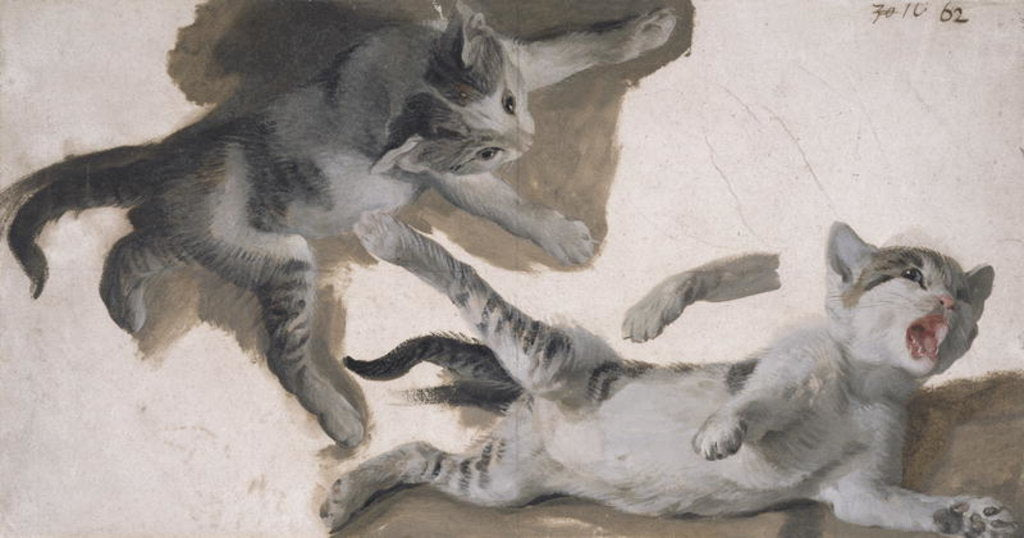 Detail of Sketches of a Kitten by Alexandre-Francois Desportes