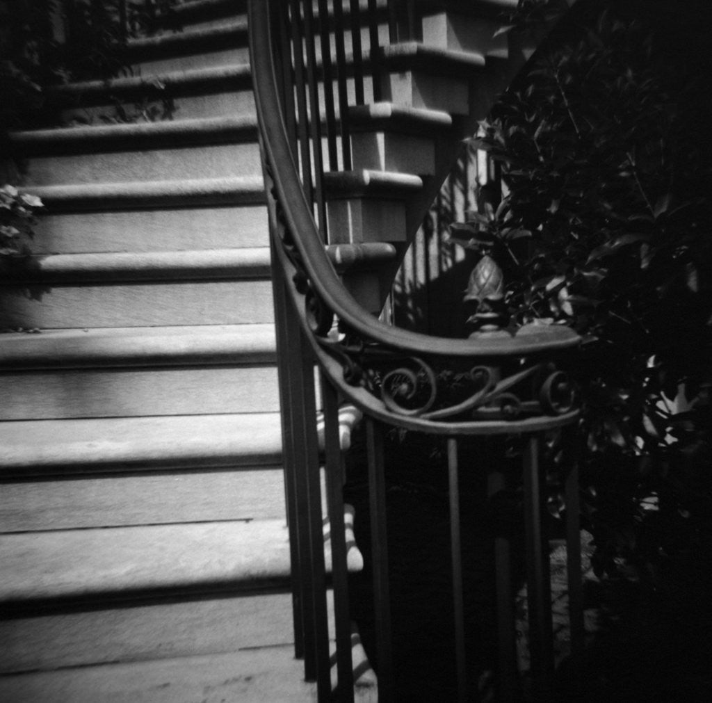 Detail of Floral Motif Railing Along a Stairway by Anonymous