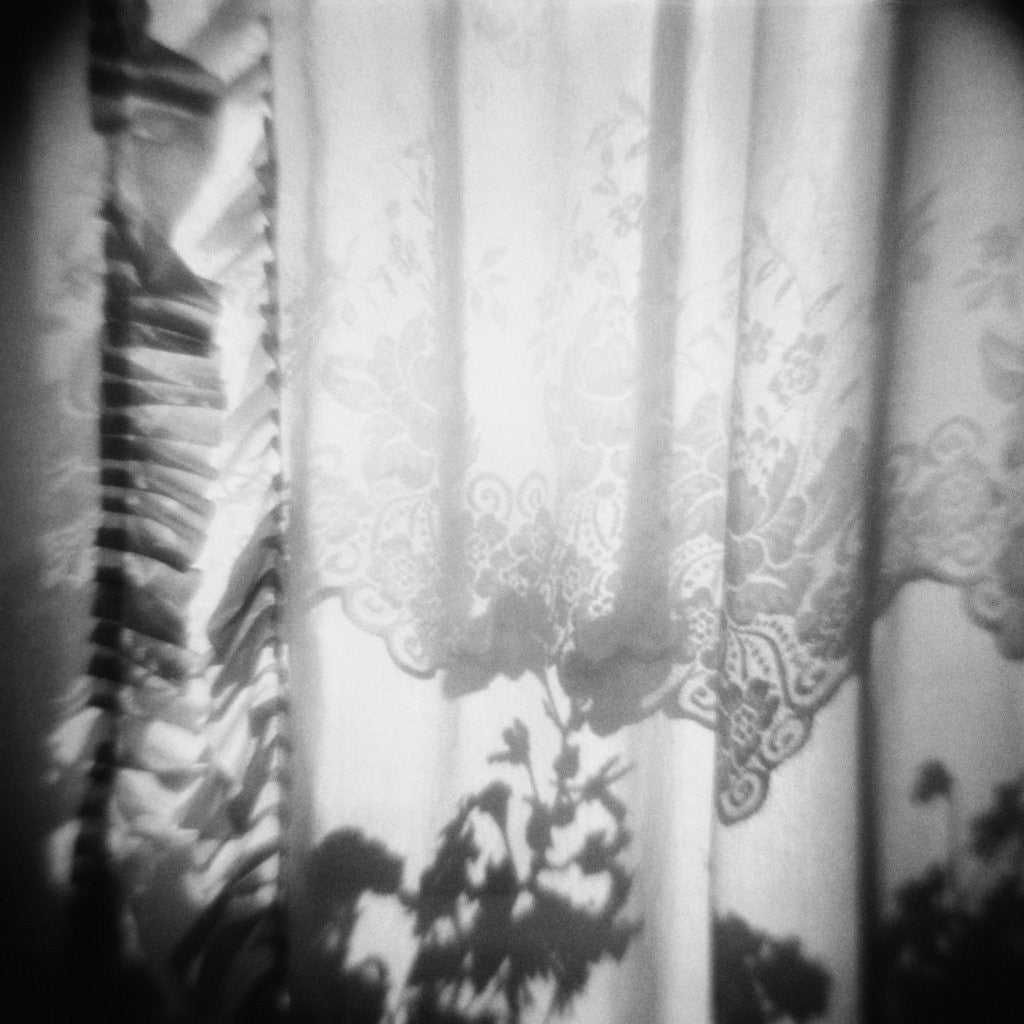 Detail of Curtain with Flower Shadow Annette Fournet by Anonymous