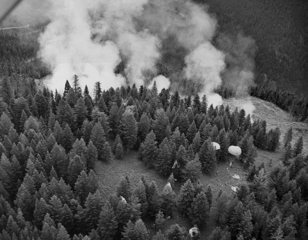 Detail of Firejumpers in Lolo National Forest by Corbis