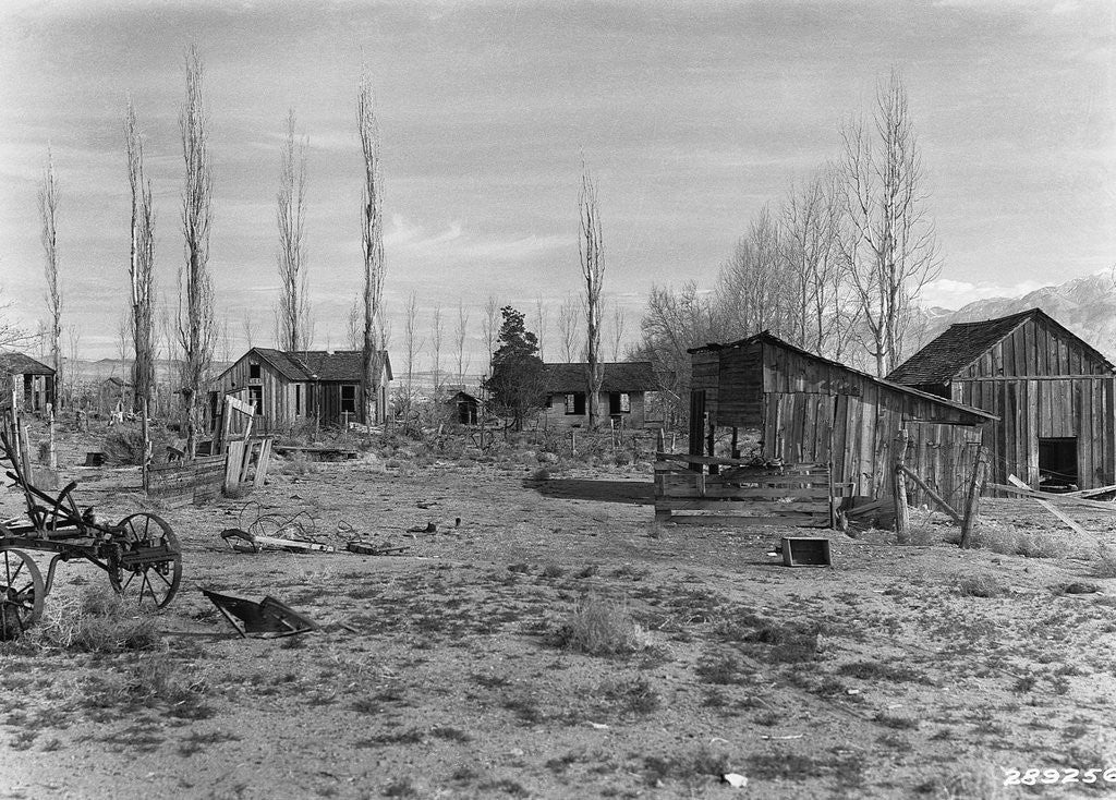 Detail of Abandoned Ranch in Owens Valley by Anonymous