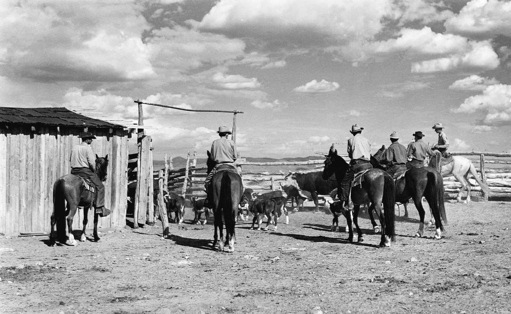 Detail of Moving Cattle Into Corral by Anonymous