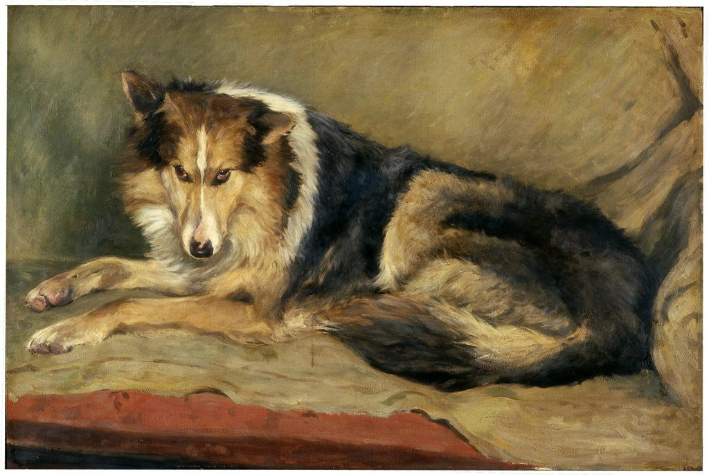 Detail of Collie Dog by William Henry Charlton