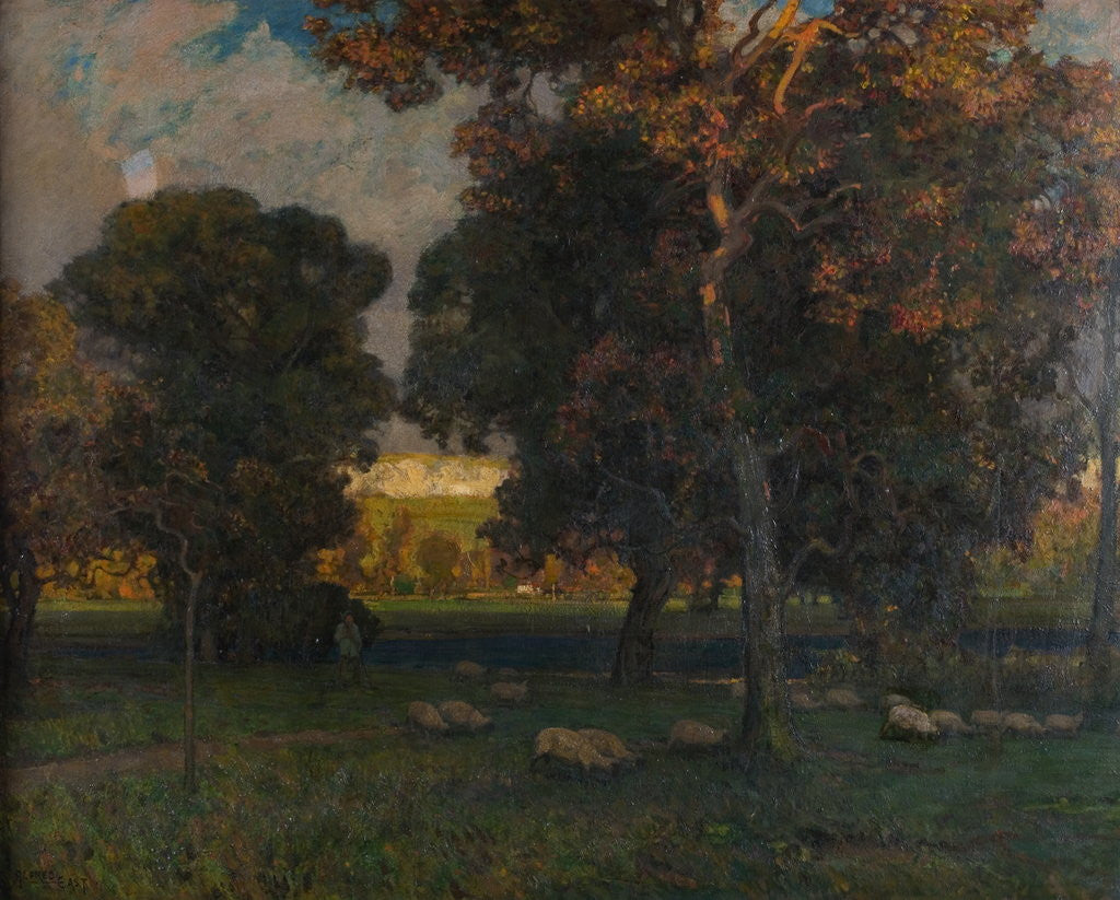 Detail of Holy Family of Francis I by Raphael