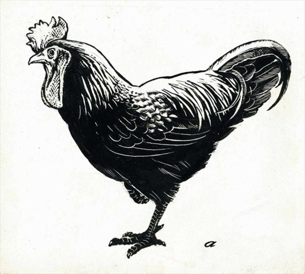 Detail of The Hen, 1950s by George Adamson