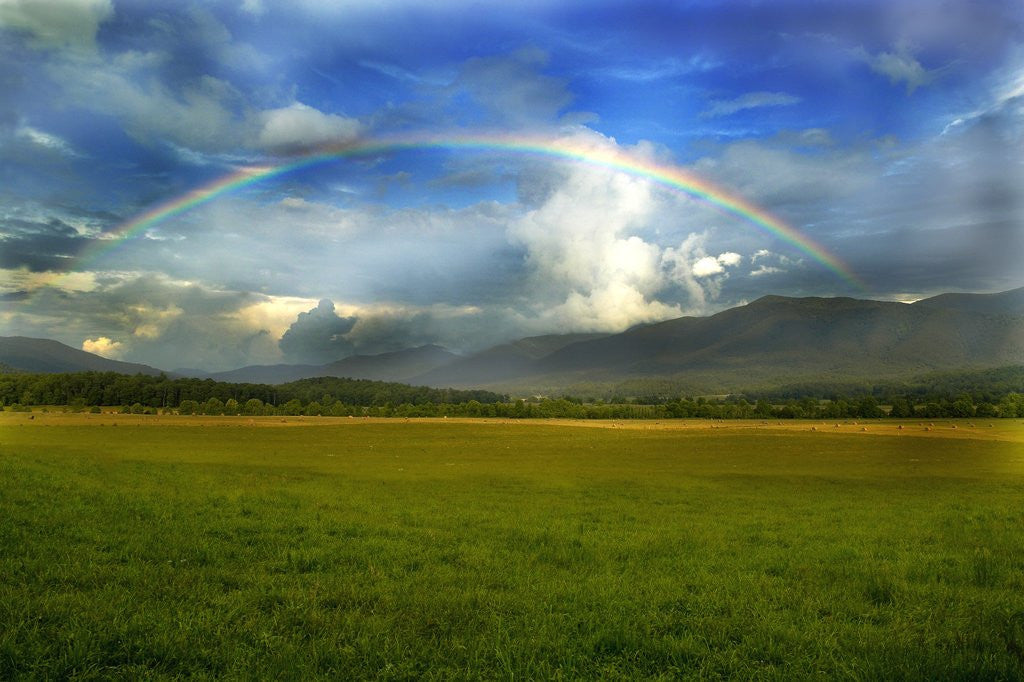 Detail of Rainbow Over Valley by Anonymous