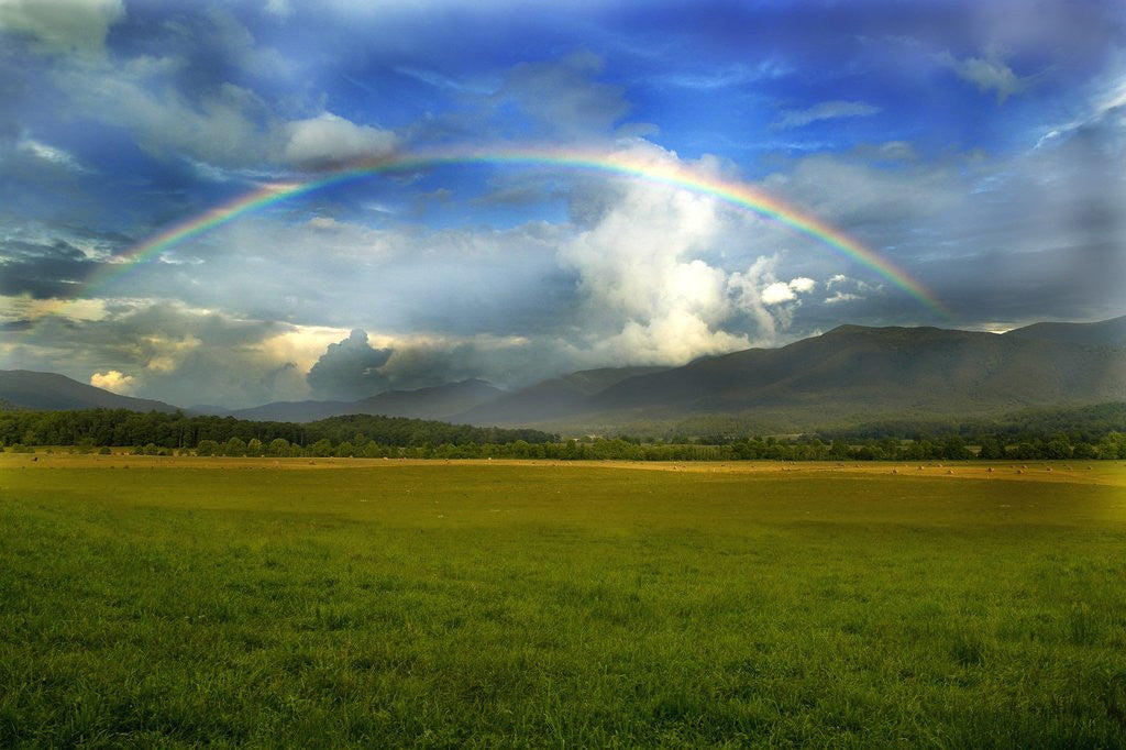 Detail of Rainbow Over Valley by Corbis