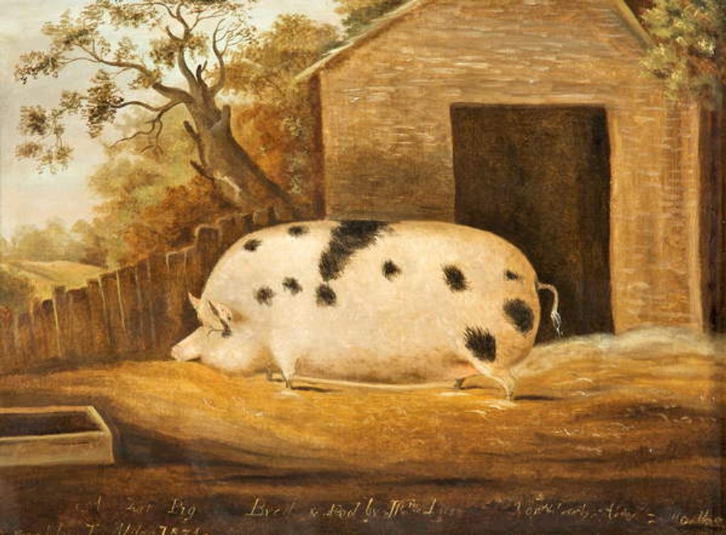 Detail of Gloucester Old Spot Pig, 1834 by John Miles of Northleach