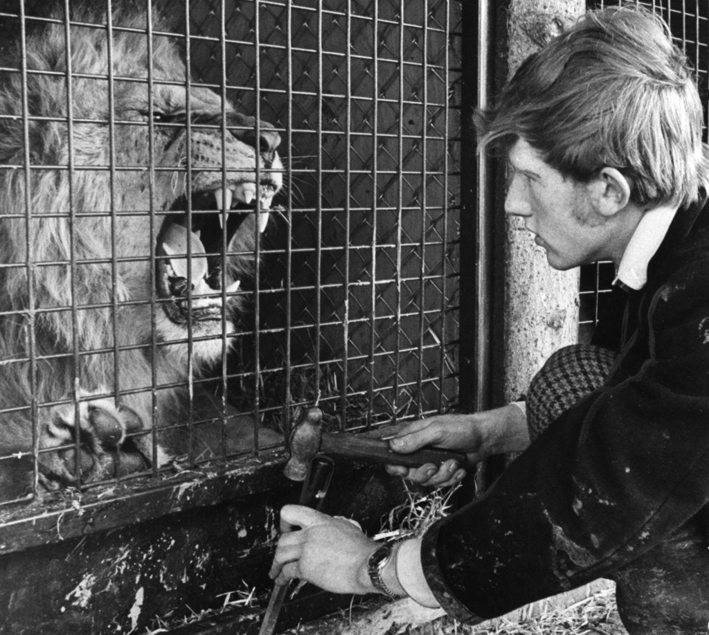 Detail of Workman Charlie Harris new on the job at Blair Drummond Safari & Leisure Park by Anonymous