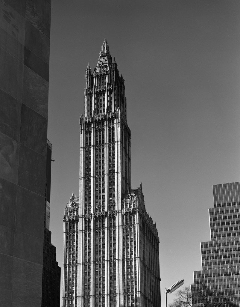 Detail of Woolworth Building by Anonymous