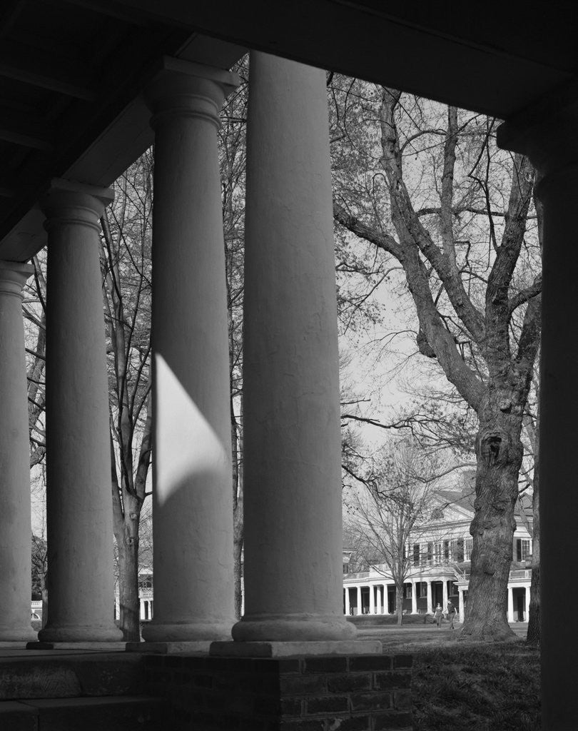 Detail of Colonnade on the Grounds of Academical Village at the University of Virginia by Corbis