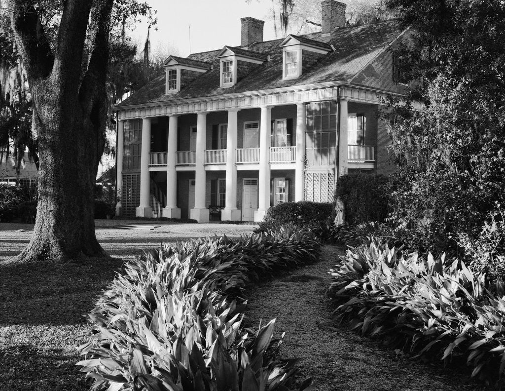 Detail of Shadows of the Teche by Anonymous