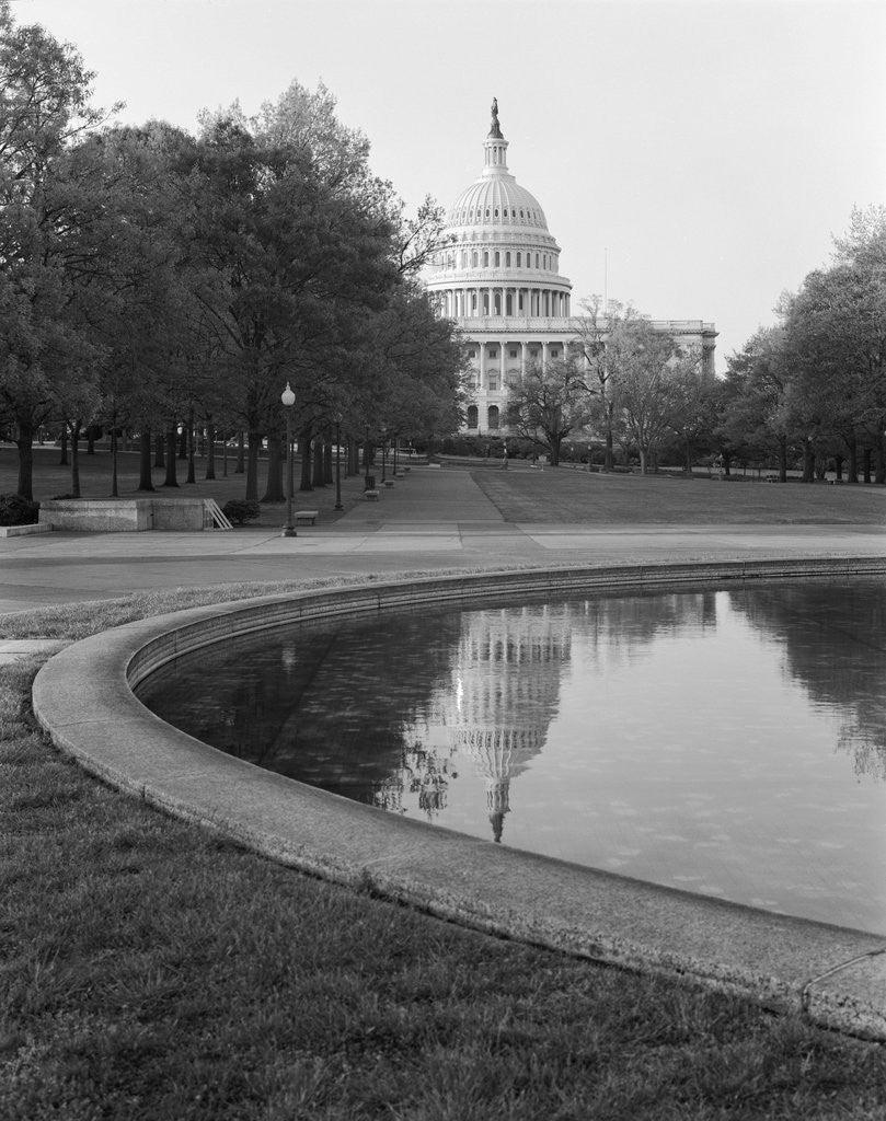 Detail of Park and the U.S. Capitol by Corbis