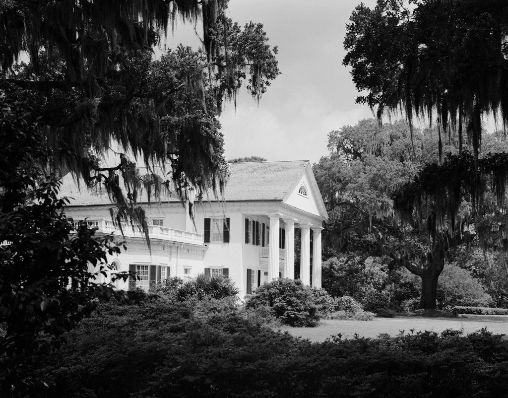 Detail of Manor House at Orton Plantation by Anonymous