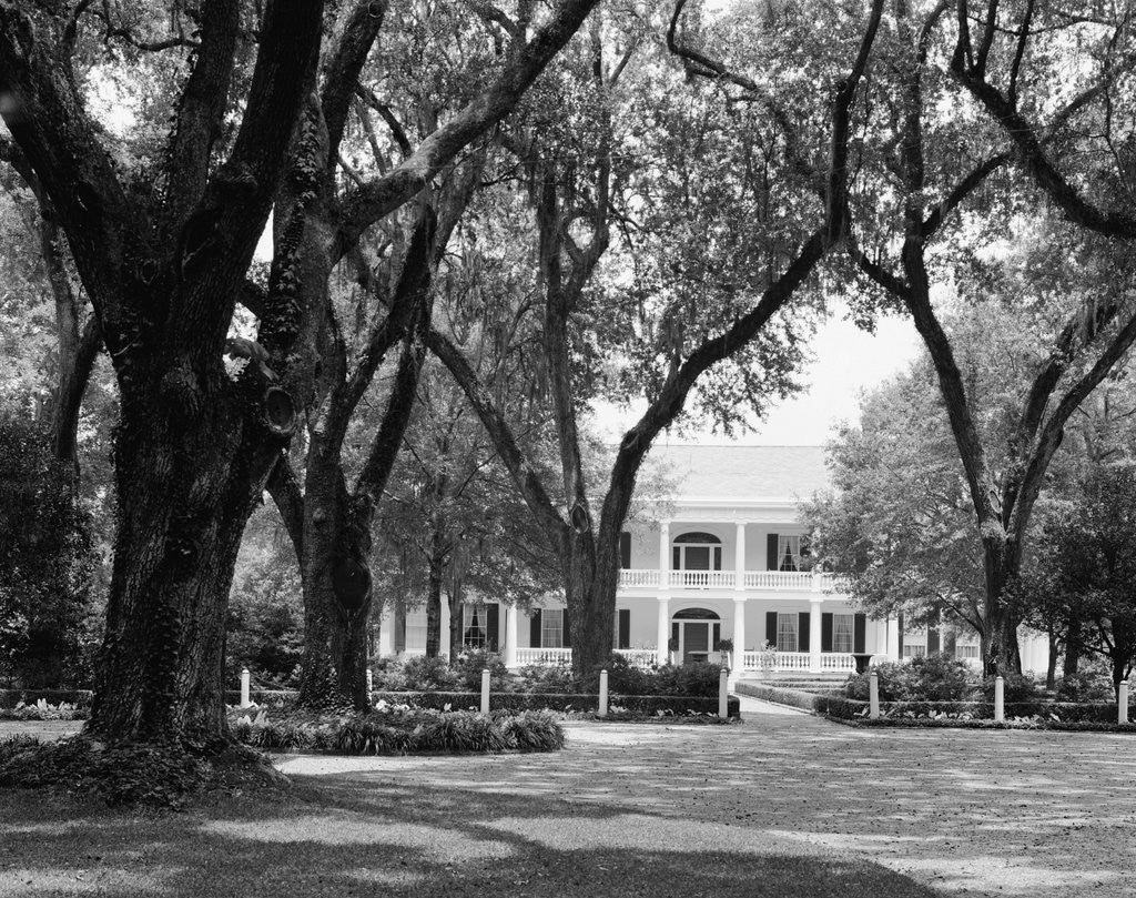 Detail of Manor House at Rosedown Plantation by Anonymous
