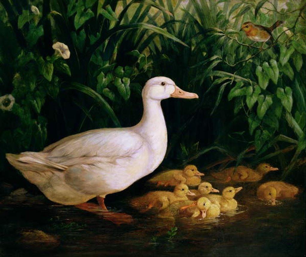 Detail of Duck and ducklings, c.1890 by English School
