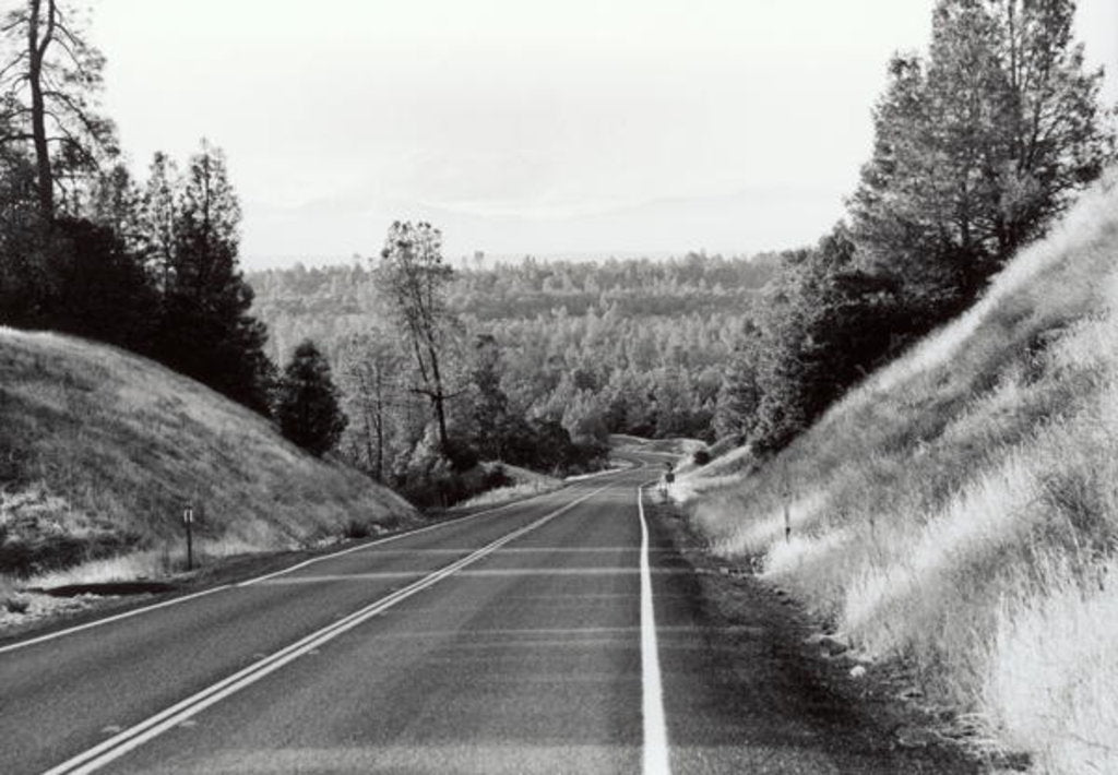 Detail of California Highway, CA, 2006 by Anonymous