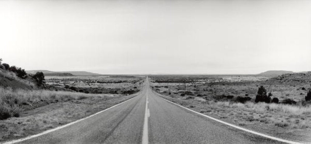 Detail of Highway, 100 mph, New Mexico, 2006 by Anonymous