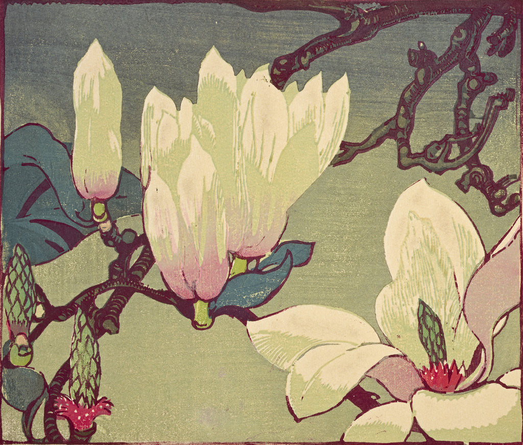 Detail of Magnolia by Mabel Royds