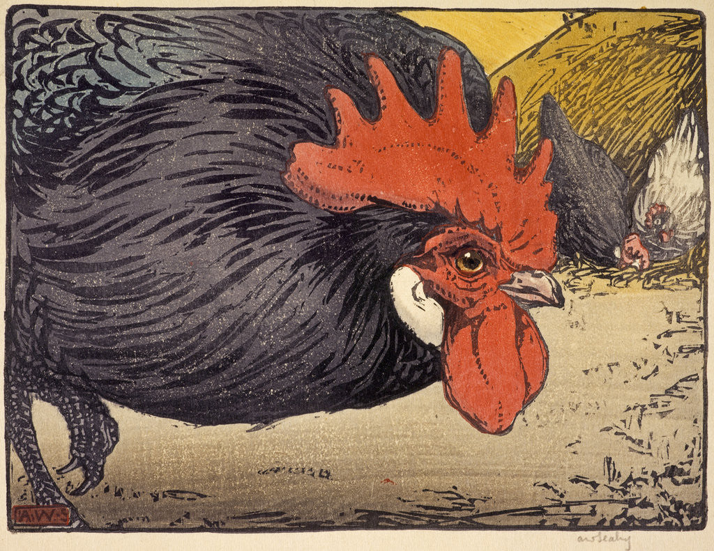 Detail of Crouching Cock by Allen William Seaby