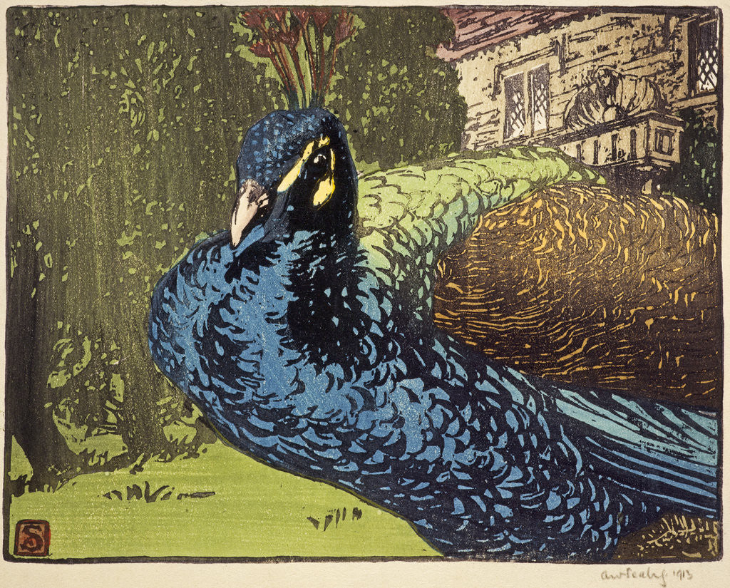 Detail of Peacock by Allen William Seaby