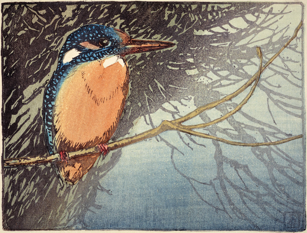 Detail of Kingfisher (no. I) by Allen William Seaby