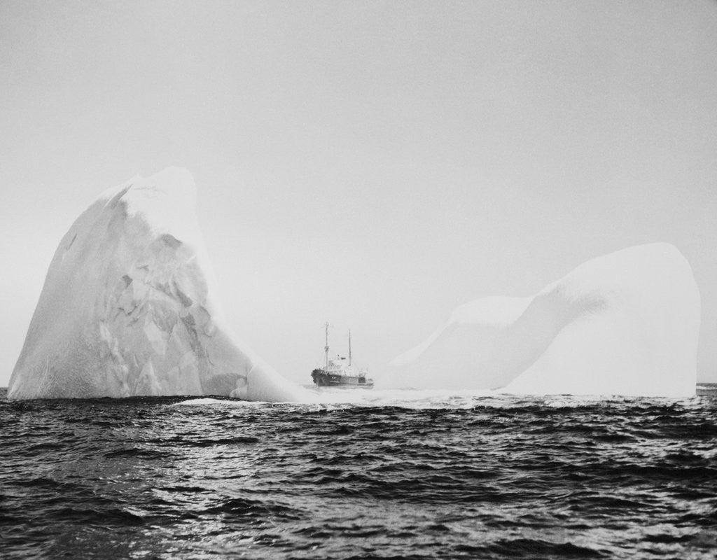 Detail of U.S. Coast Guard Patrolling Icebergs by Corbis