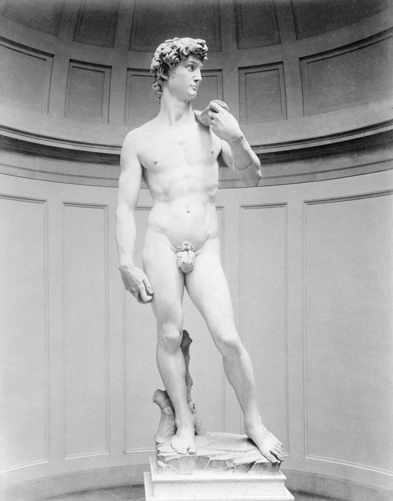 Detail of David by Michelangelo